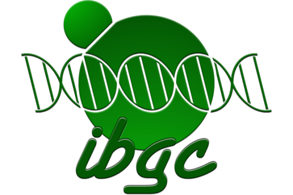 IBGC - UMR 5095