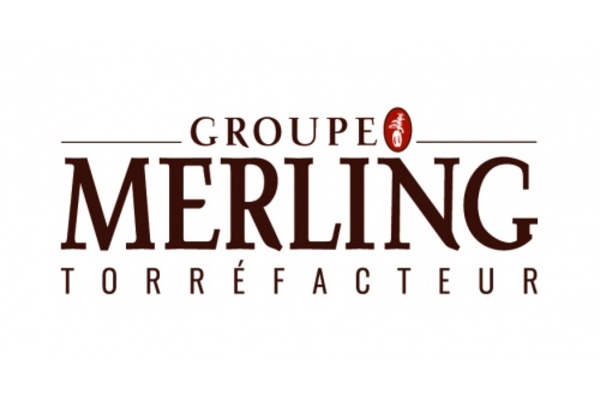 MERLING PROFESSIONNEL