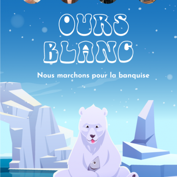 Equipe Ours Blanc