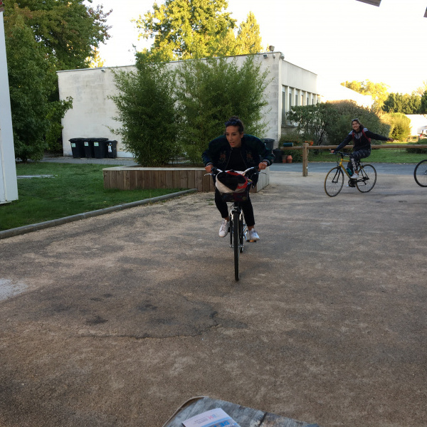 Arrivée des cyclistes