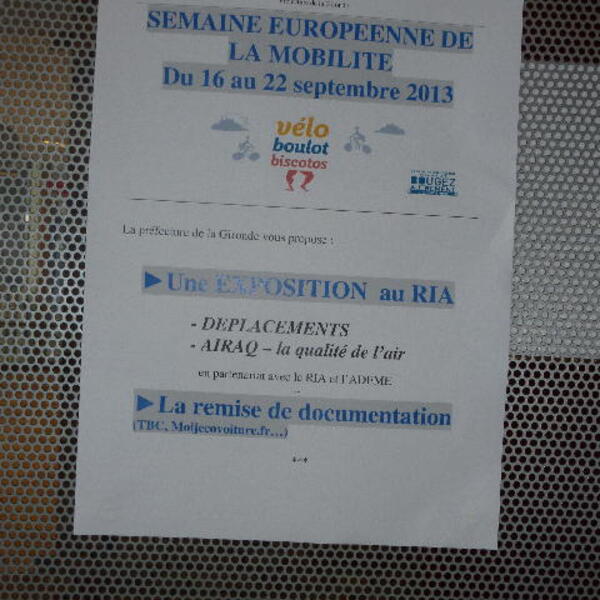 Exposition