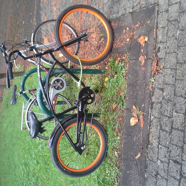 L'occasion de sortir les beaux vélos !