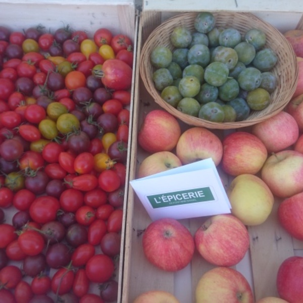 dégustation fruits de saison et échanges sur la mobilité
