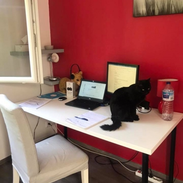 Challenge photo du jour, le plus beau bureau de télétravail