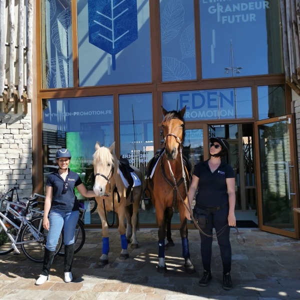 Les filles et leurs chevaux