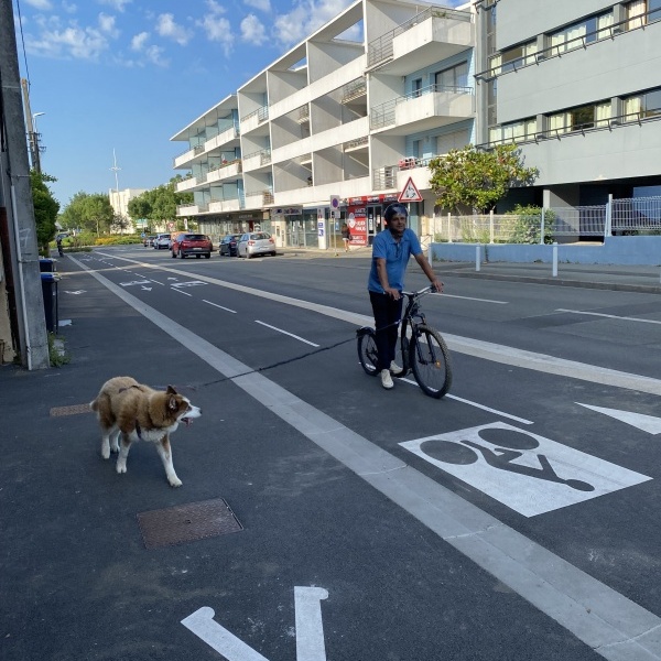 Cani-trottinette avec Eric